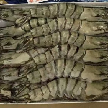 黑虎虾
