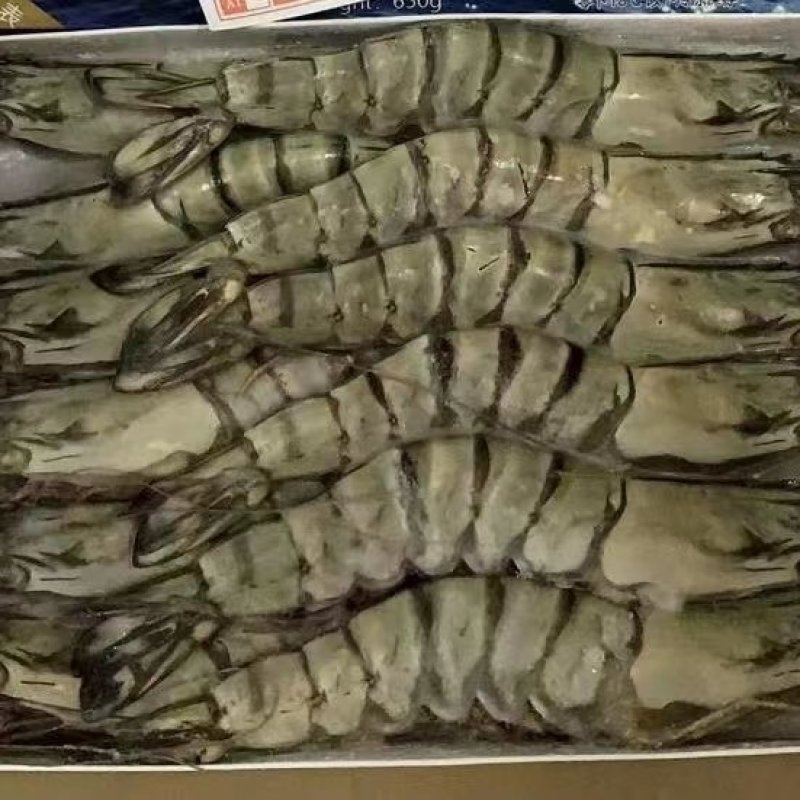 黑虎虾