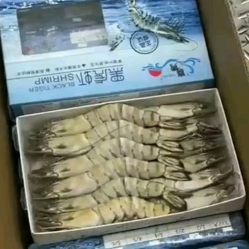 黑虎虾