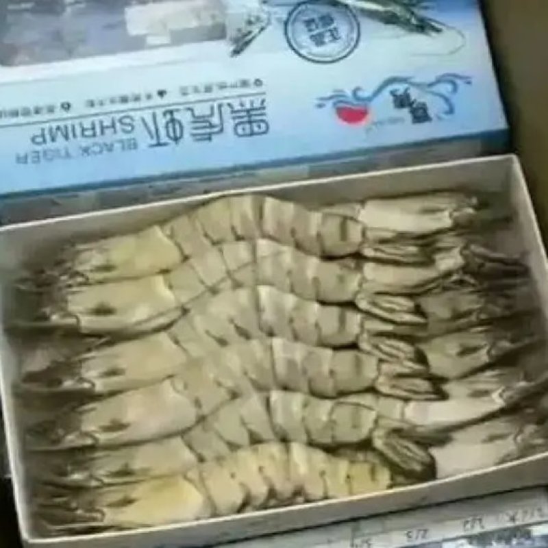 黑虎虾