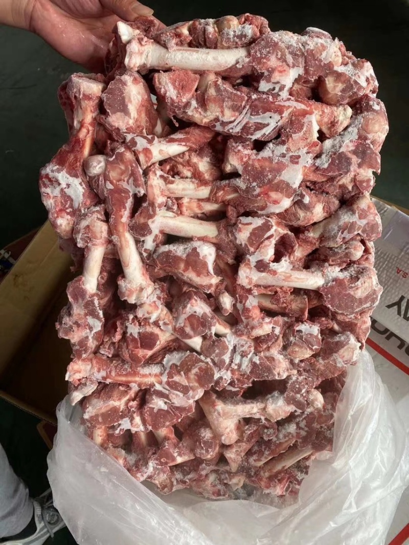 羊棒骨羔羊棒骨后腿骨满骨髓羊棒骨直发