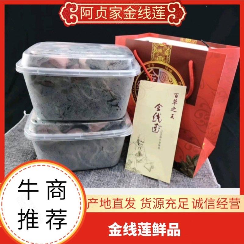 金线莲鲜品产地直发量大从优欢迎联系选购