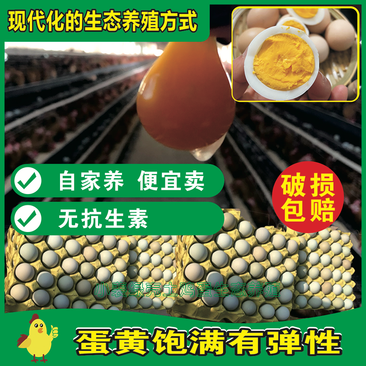 湖北绿壳鸡蛋、炖炒金黄色，自养自销、拒绝抗生素、破损包赔