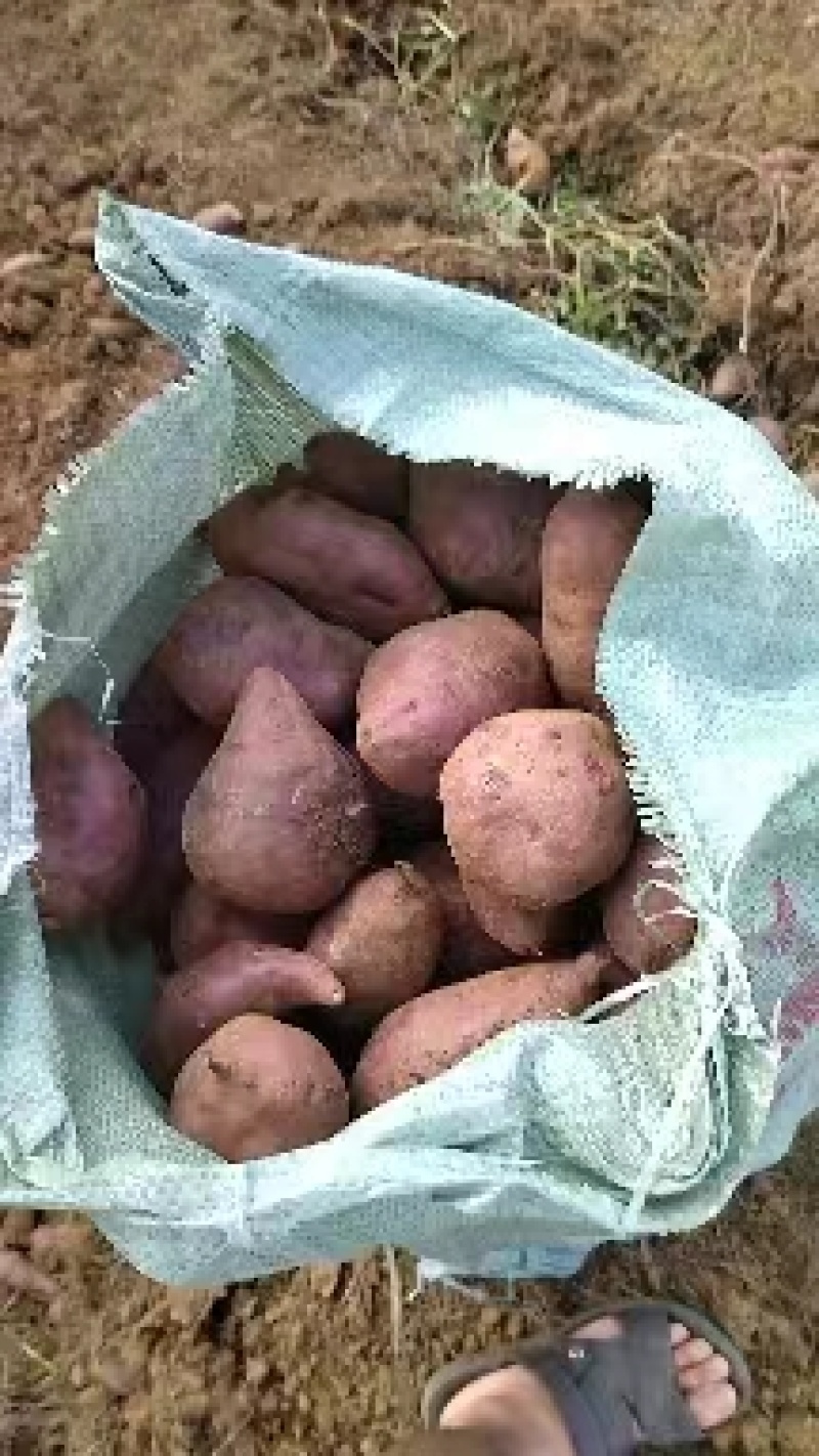 红薯电商货市场货，西瓜红紫薯冰淇淋，量大优惠