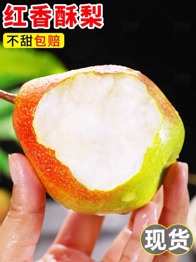 山西运城盐湖一抹红晕果库红香酥梨🍐