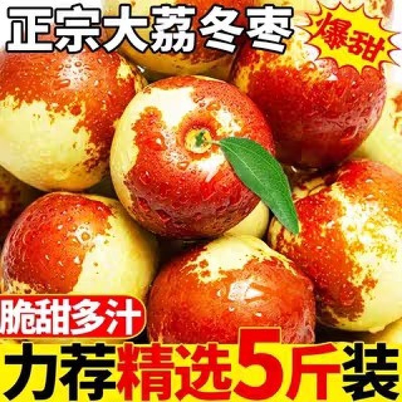 山东沾化冬枣