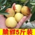 山东沾化冬枣