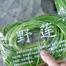 野莲菜，特色菜严格质量把关，欢迎你在一亩田合作