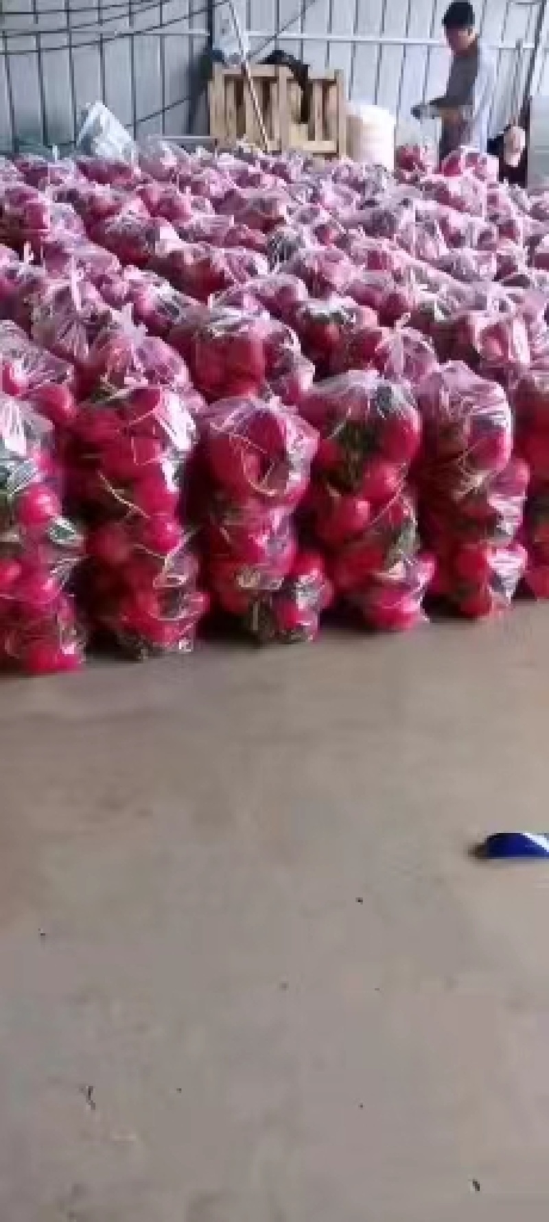 精品萝卜，价格实惠。质量保证，品质兼优。