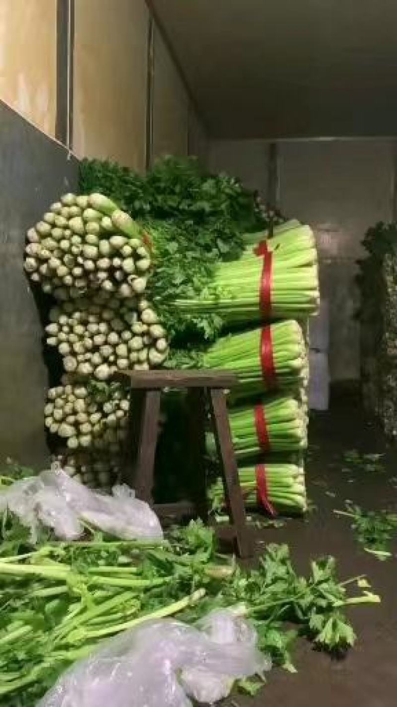 精品芹菜，西芹香芹，物美价廉质量很好。品质兼优。
