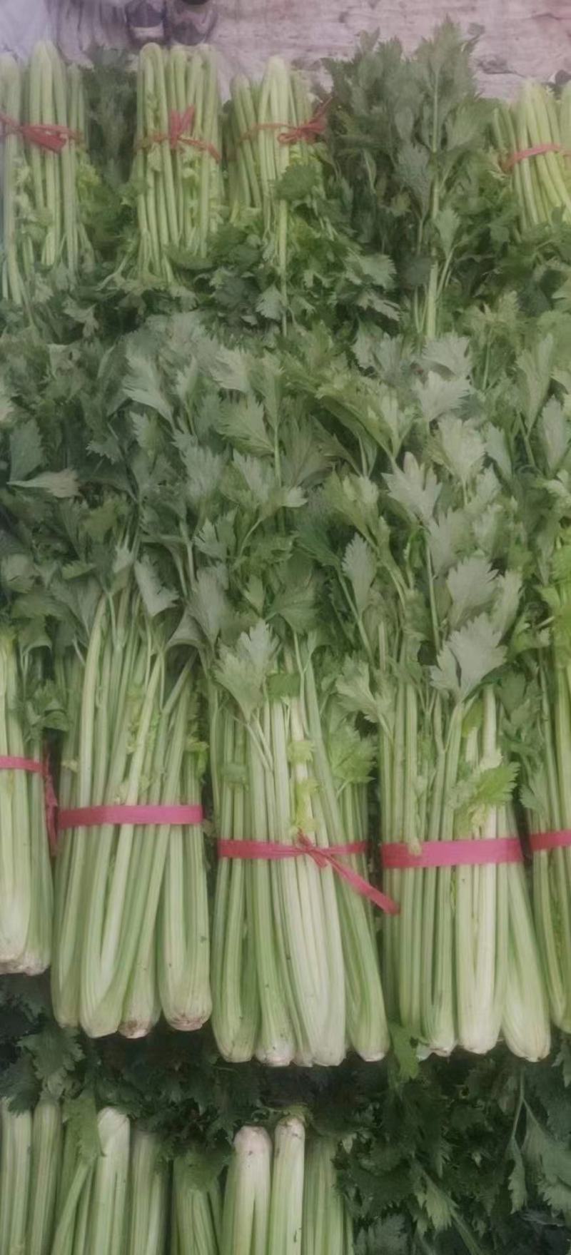 精品芹菜，西芹香芹，物美价廉质量很好。品质兼优。