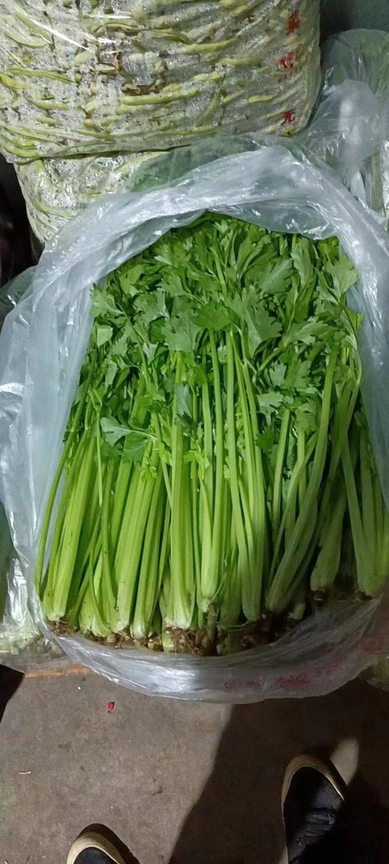 精品芹菜，西芹香芹，物美价廉质量很好。品质兼优。