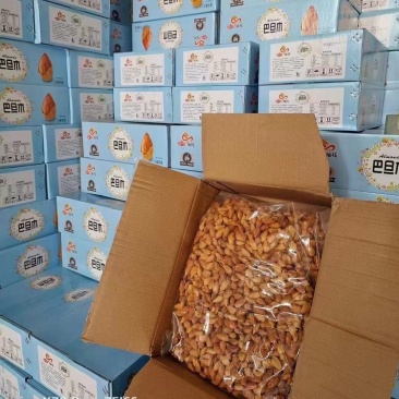 批发新货薄款巴旦木商超门市批发货源