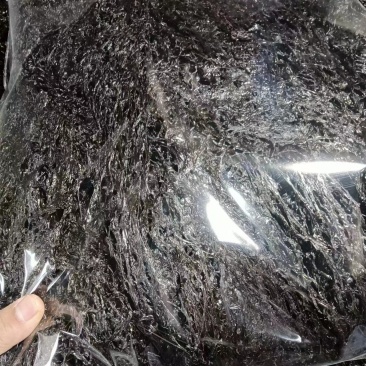 紫菜，福建精品紫菜大量上市，全国发货，欢迎选购