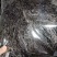 紫菜，福建精品紫菜大量上市，全国发货，欢迎选购