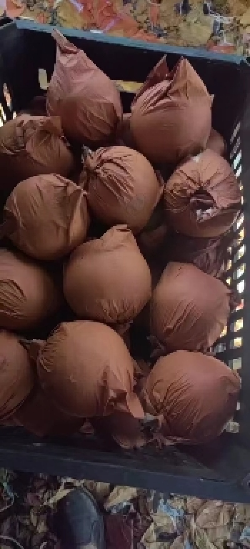 雪花梨