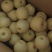 皇冠梨