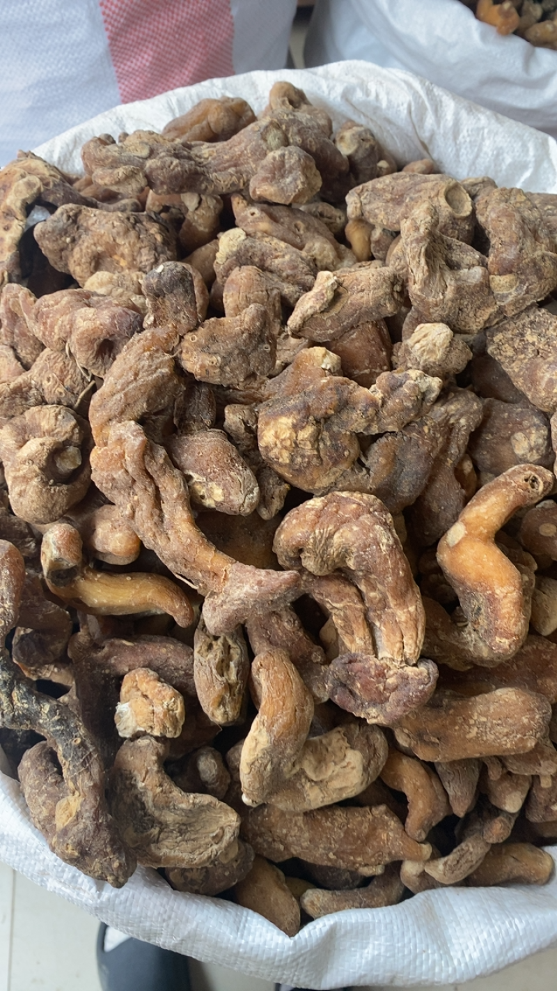贵州野生黄精，个大货干。各规格货源充足。