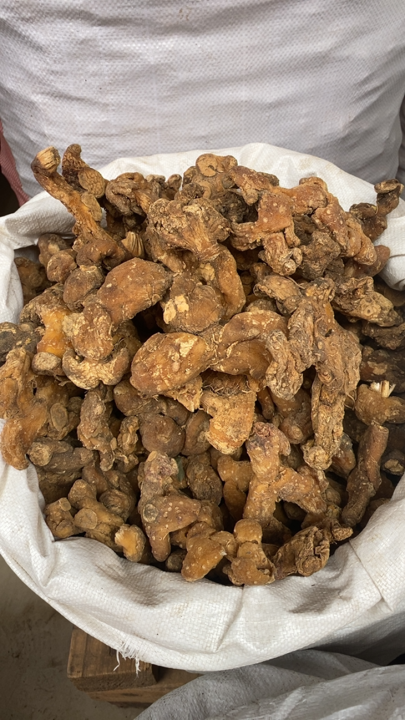 贵州野生黄精，个大货干。各规格货源充足。