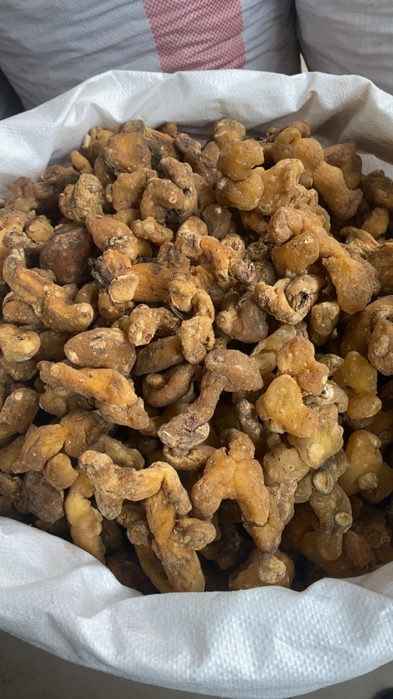贵州野生黄精，个大货干。各规格货源充足。