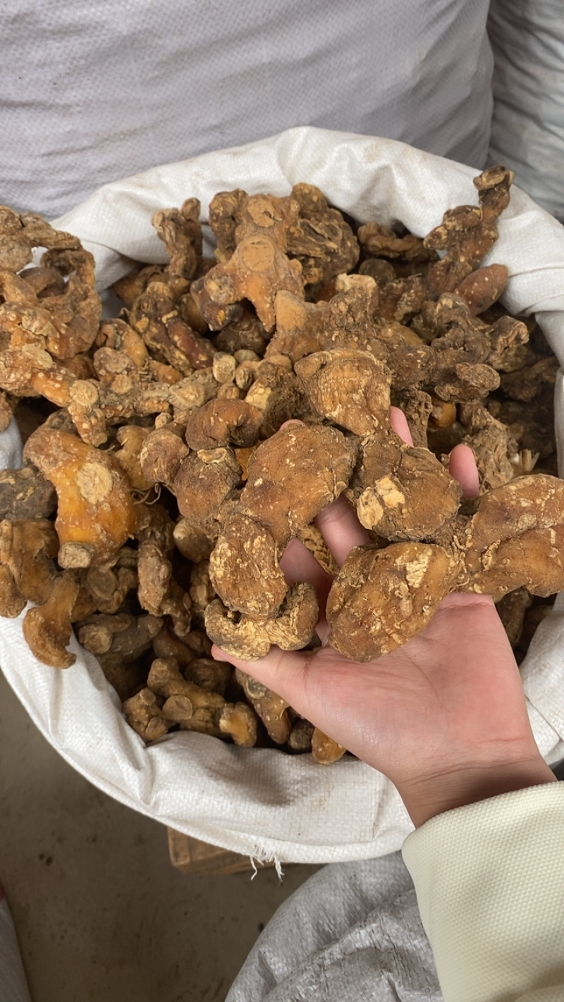 贵州野生黄精，个大货干。各规格货源充足。