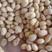 安徽黄豆本地优质高蛋白黄豆质量保证欢迎来电咨询