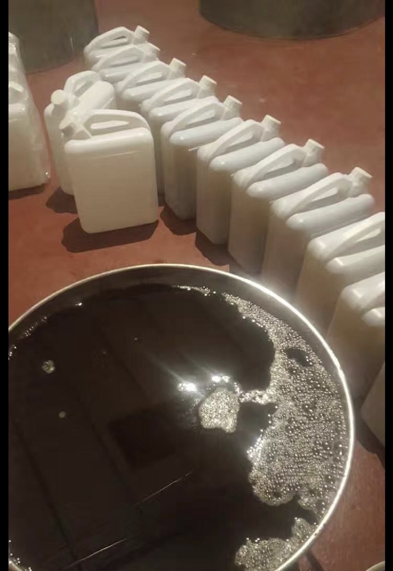 大别山老树茶油果66666