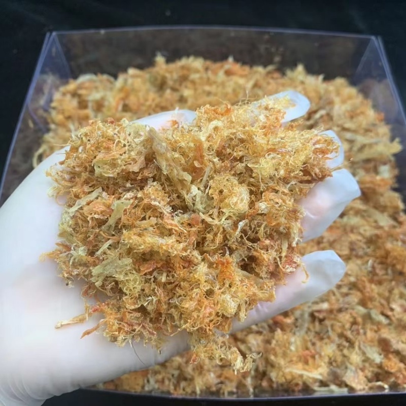 洞燕碎