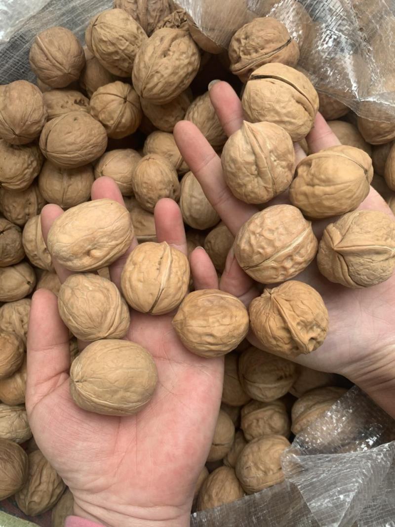 新疆坚果核桃，薄皮核桃，玉田核桃。核桃仁