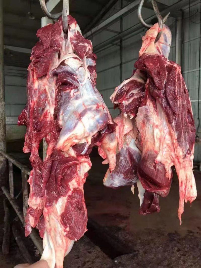 大西北黄牛肉，纯干肉，不打水，源头出货，价格稳定，质量有