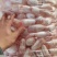 海锐水产专注于正宗生态水产品新鲜鱼泡鱼鳔常年供应