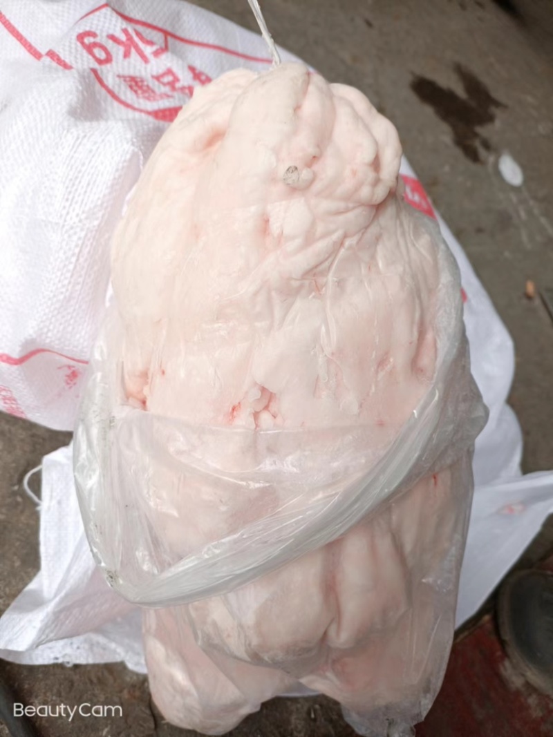 厂家直销（牛商）雨润吊板油，物美价廉，工厂一手货源