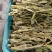 长期有货一手货源各种新鲜盐竹笋