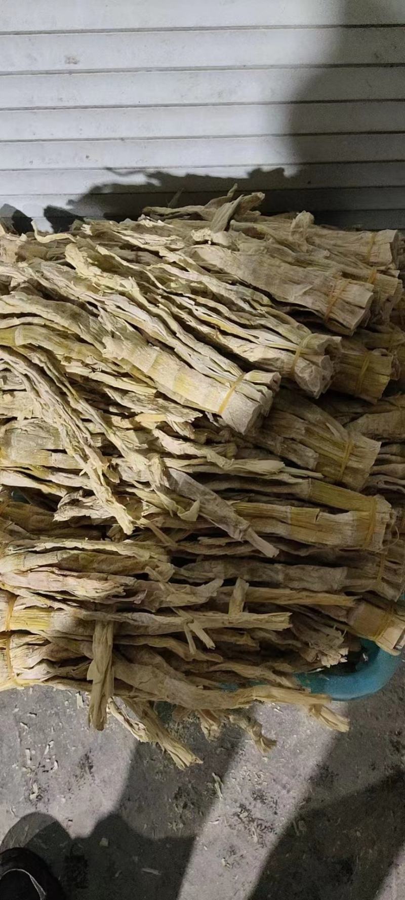 长期有货一手货源各种新鲜盐竹笋