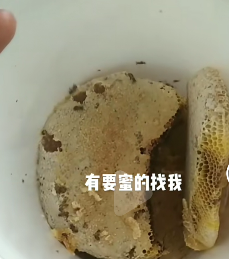 重庆巫溪县大山里的土蜂蜜
