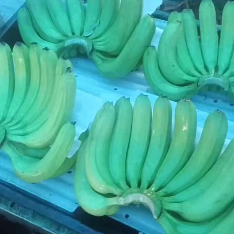 香蕉大量上市，全国物流配货中心承接全国找车配货业务