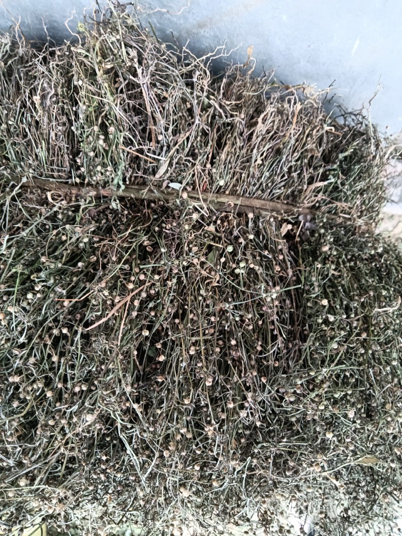 白花蛇舌草干货今年新货产新人工采摘太阳晒干