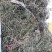 白花蛇舌草干货今年新货产新人工采摘太阳晒干