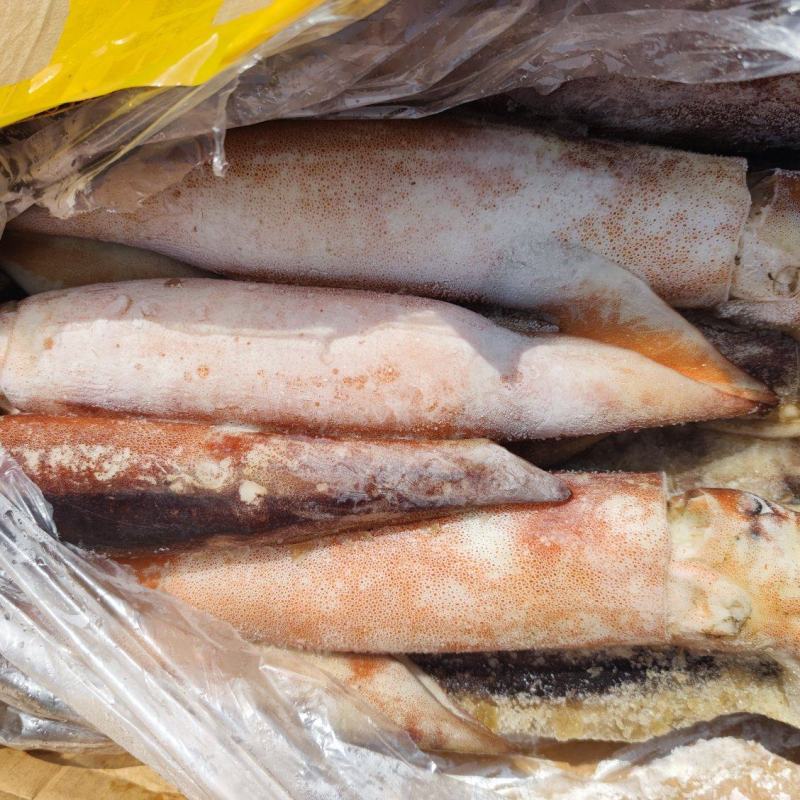 飞机鱿。0.6-0.91.0上