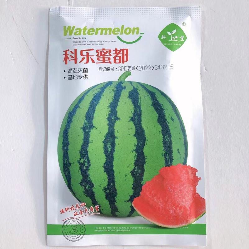 科乐蜜都西瓜品种种子早熟品种种子