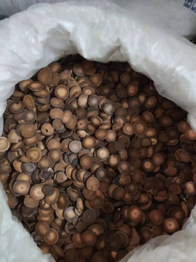 化州橘红片，压果，七爪等，各种规格均有大货！！！