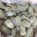 化州橘红片，压果，七爪等，各种规格均有大货！！！