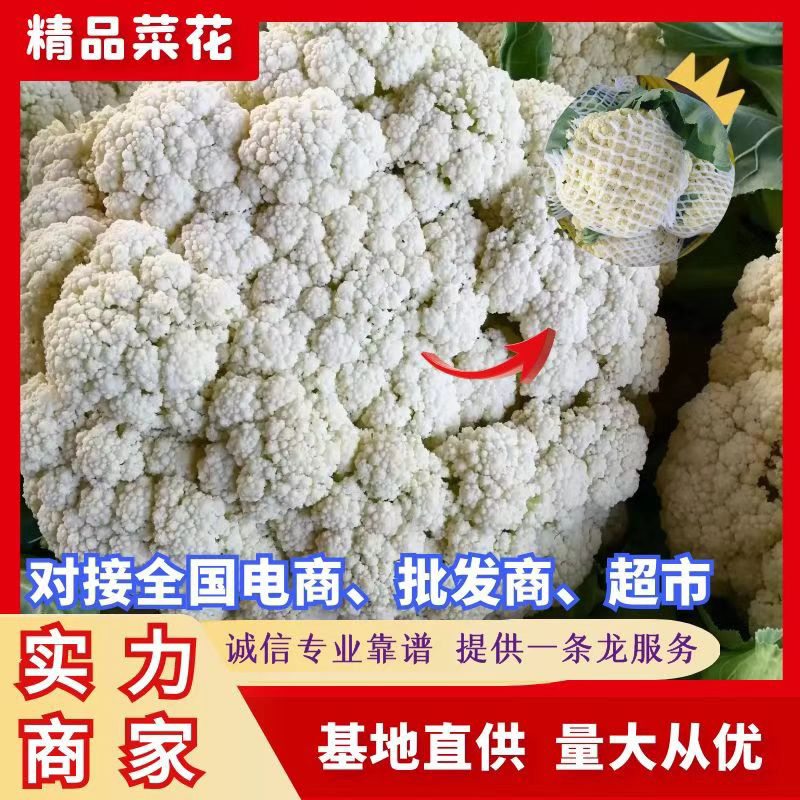 菜花，万亩基地，随到随装，一手货源，有专业装车队伍，诚信