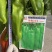 洛椒326:早中熟泡椒品种、丰产色泽浅绿鲜艳漂亮商品性佳
