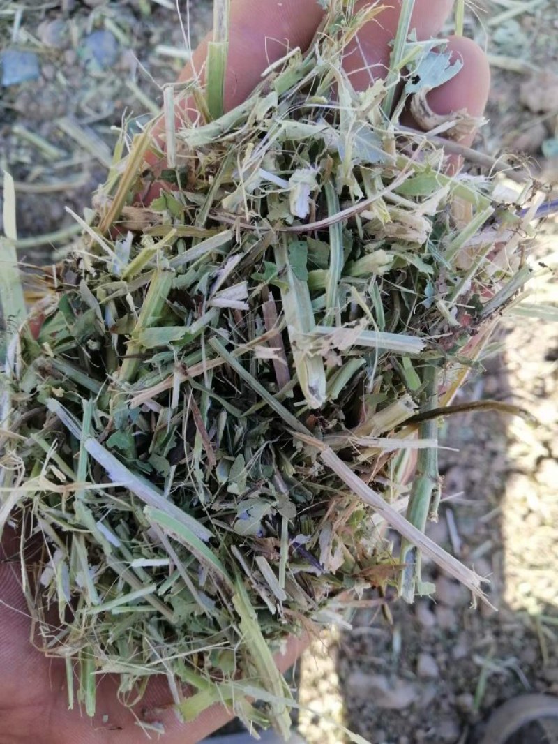 牛羊专用花生秧