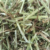 牛羊专用花生秧