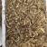 多花姜型甜质黄精种芽多花姜型甜质黄精种芽
