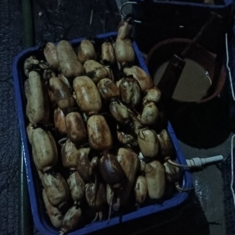 广西贵港莲藕