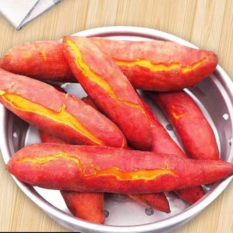 板栗蜜薯
