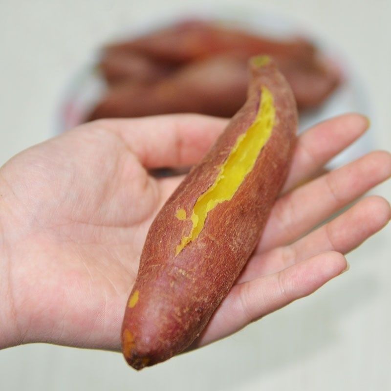 板栗蜜薯